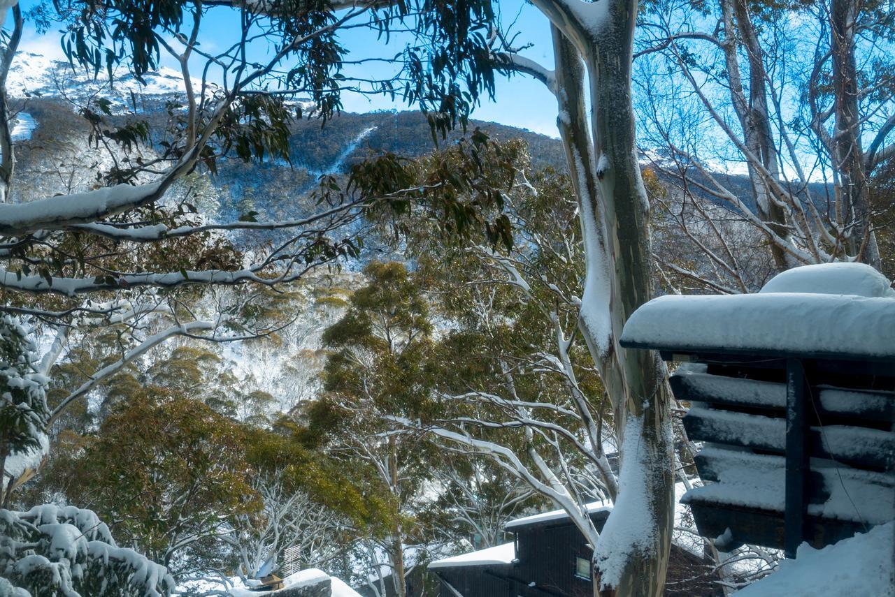 Pure Chalet Thredbo Extérieur photo