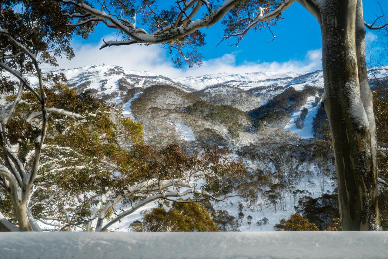 Pure Chalet Thredbo Extérieur photo