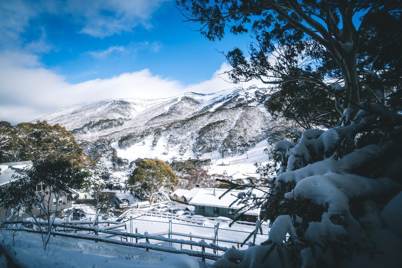 Pure Chalet Thredbo Extérieur photo
