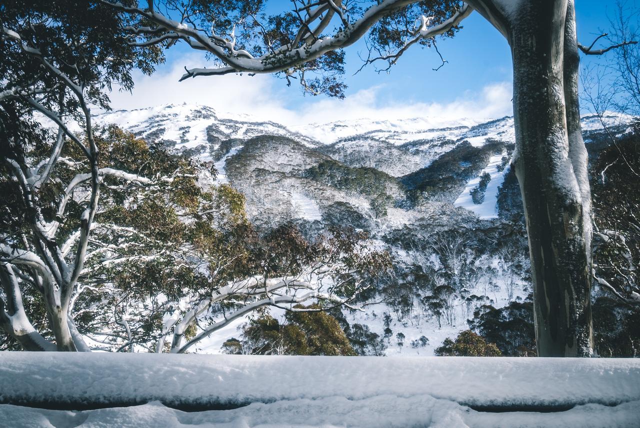 Pure Chalet Thredbo Extérieur photo