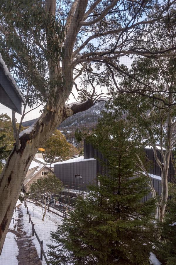 Pure Chalet Thredbo Extérieur photo